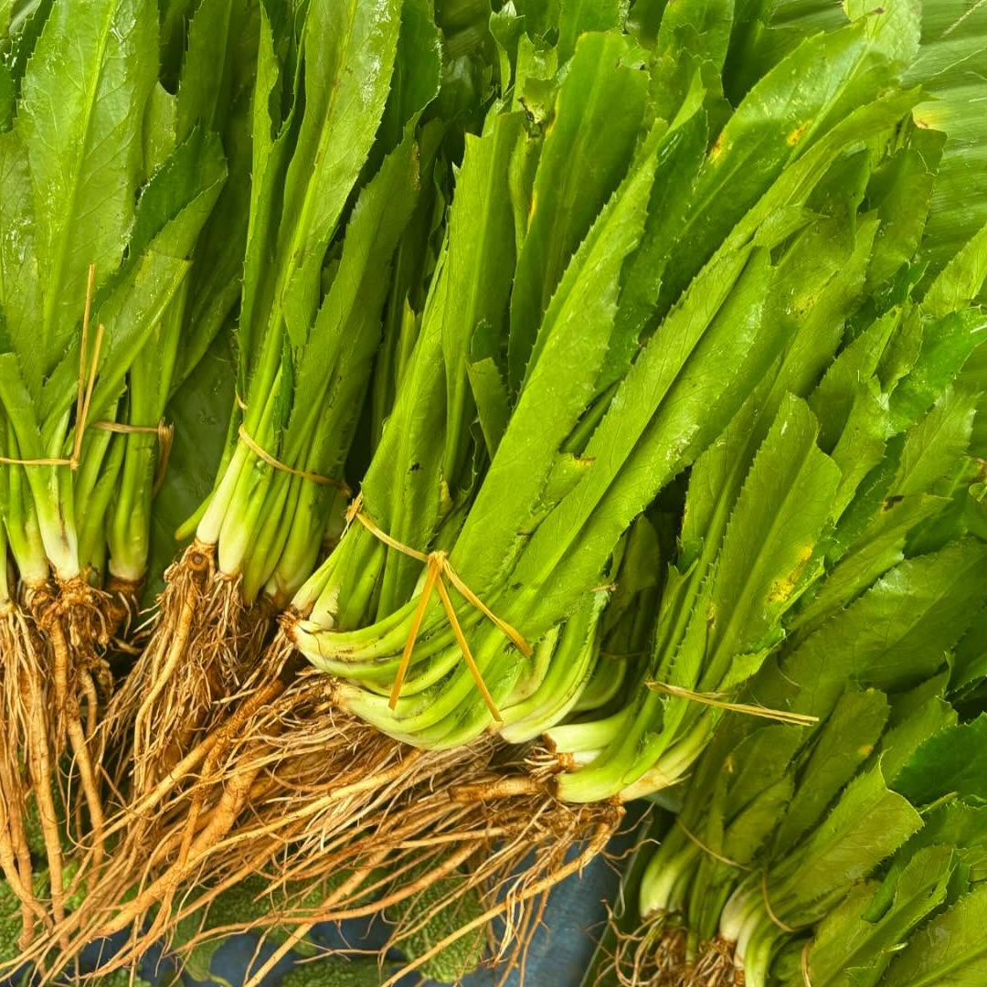 Man dhoniya (মান ধনিয়া)